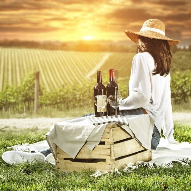woman sitting with picnic basket